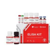 ElaBoXTM小鼠转化生长因子β1检测试剂盒