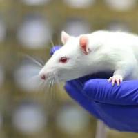 生物标志物发现与患者分层套餐