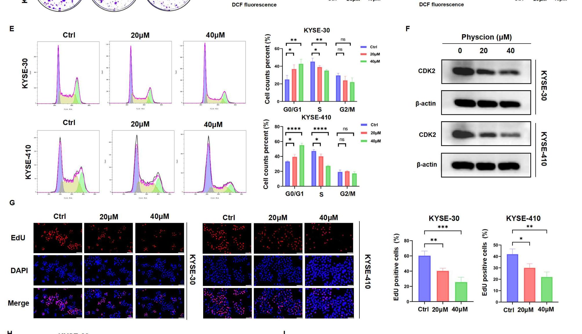 【IF 33.9】聚焦6PGD机制研究，Absin抗体助力食管癌治疗新突破