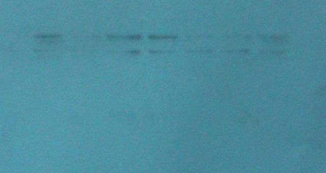 WB做不好？不是手残，是这些细节你没注意到