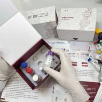 ​鱼（Fish）雌酮（Estrone）ELISA检测试剂盒