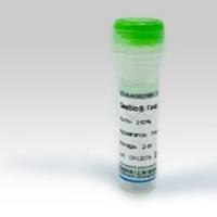 半乳糖氧化酶,≥30u/mg solid;9028-79-9