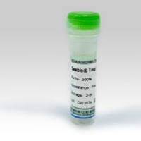 丙酉同酸激酶,≥ 300U/mg protein;9001-59-6