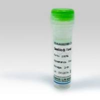 胆固醇酯酶,10u/mg;9026-00-0