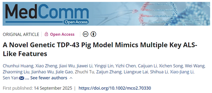 破局渐冻症 | Tissue Cytometry 技术助力 TDP-43 猪模型构建，加速 ALS 新药研发