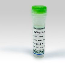 谷氨酸脱氢酶(GLDH),>400U/mg;9001-46-1