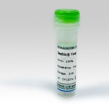 磷酸烯醇丙酉同酸羧化酶(PEPC);9067-77-0