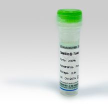 脂蛋白脂肪酶;9004-02-8