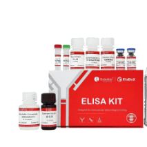 ElaBoXTM小鼠粒细胞巨噬细胞集落刺激因子检测试剂盒