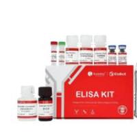 ElaBoXTM小鼠粒细胞巨噬细胞集落刺激因子检测试剂盒