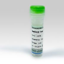 硫辛酰胺脱氢酶(心肌黄酶),70-110U/mg;9001-18-7