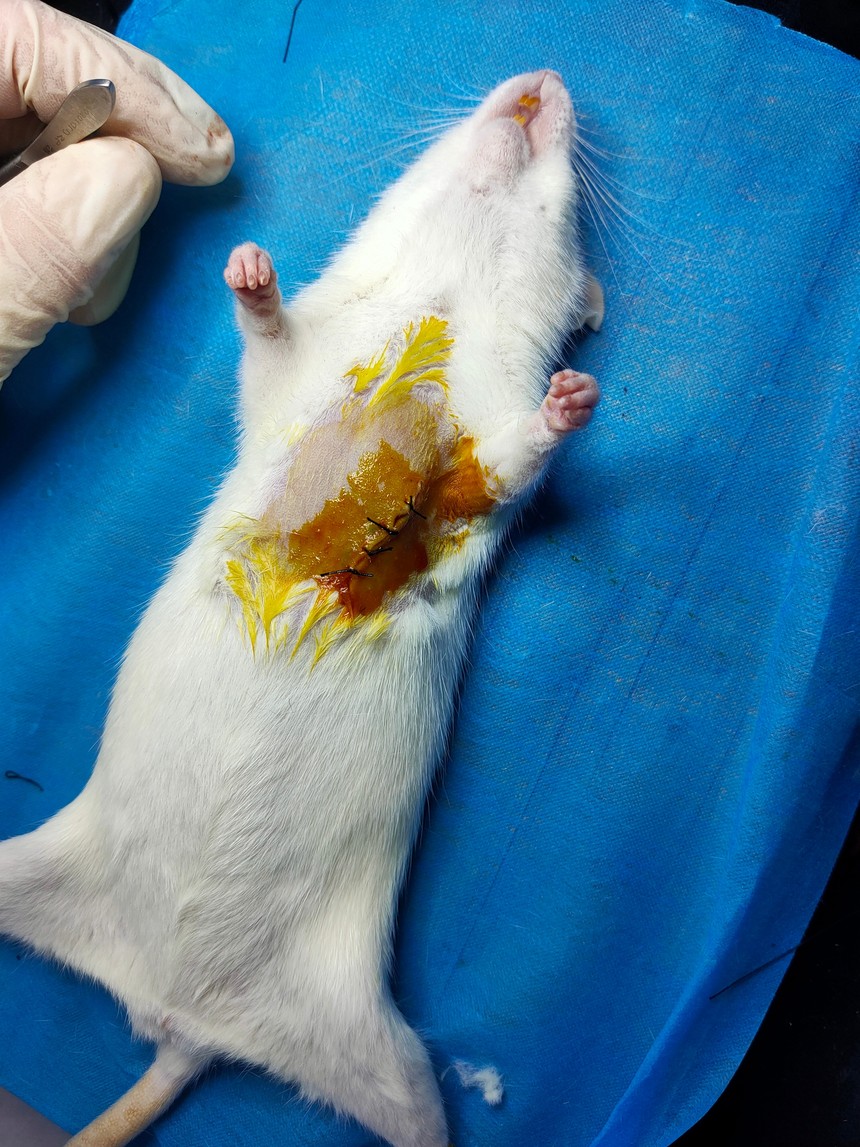 1587889454385758.jpg 008.jpg