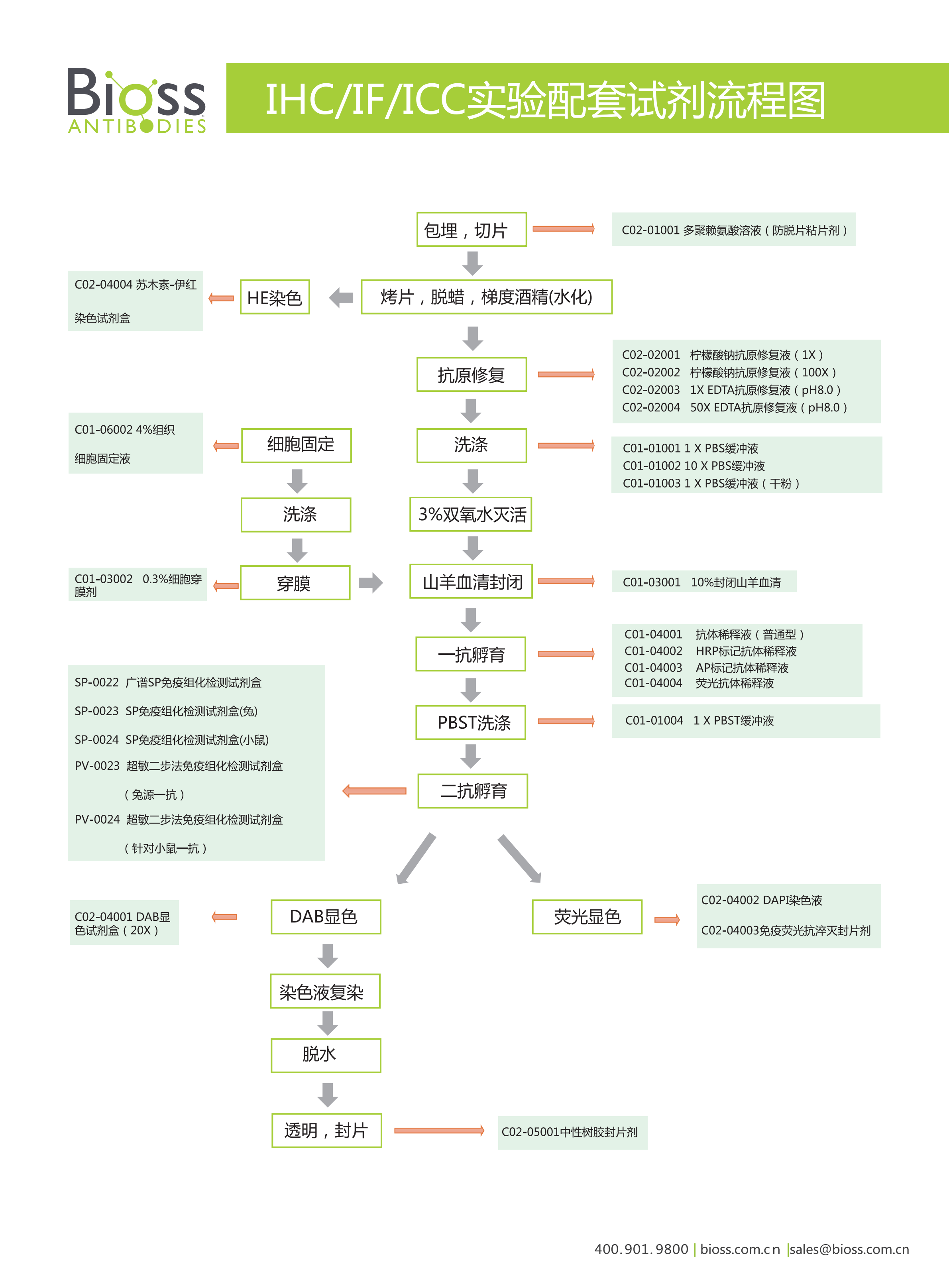 Bioss讲堂｜IHC之石蜡包埋实操注意要点详解