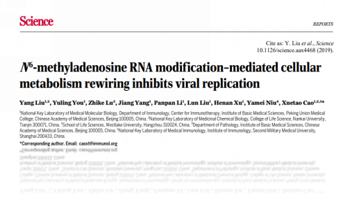 表观遗传风云再起，Epigentek助力客户上榜《Science》