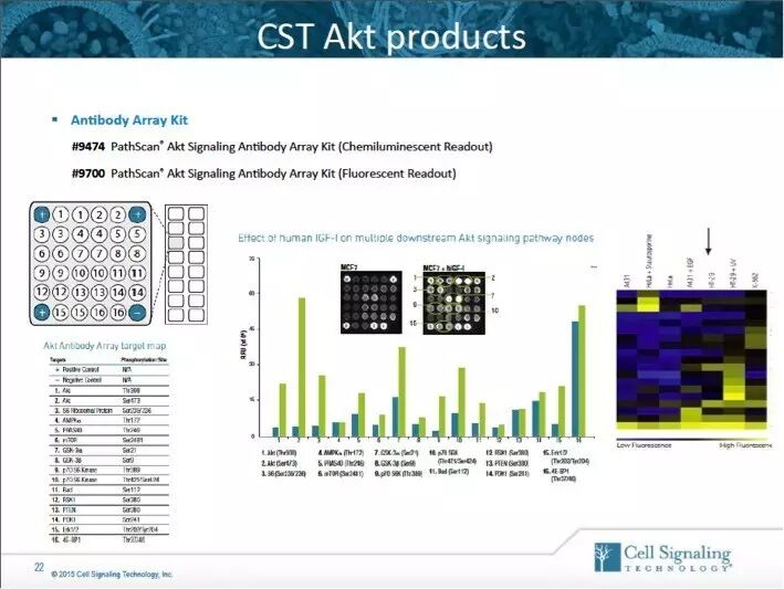 指尖上的PPT，讲述Akt的魅力故事。
