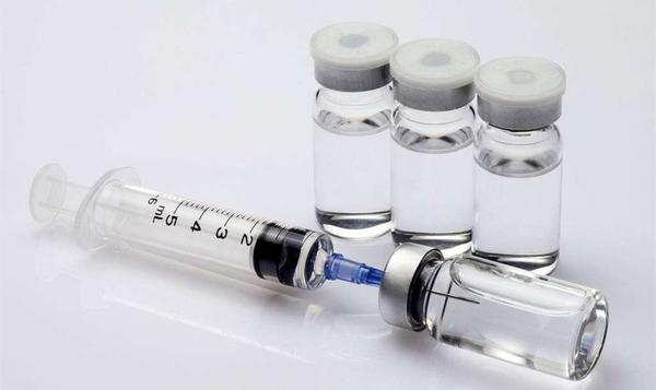 Vero 细胞的无血清培养基的研究进展