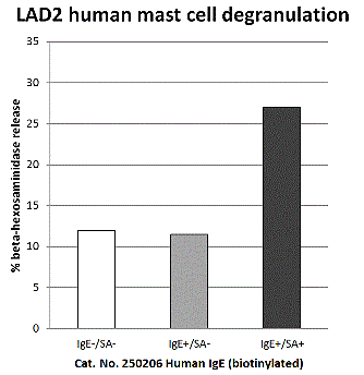 人IgE---肥大细胞脱颗粒检测试剂