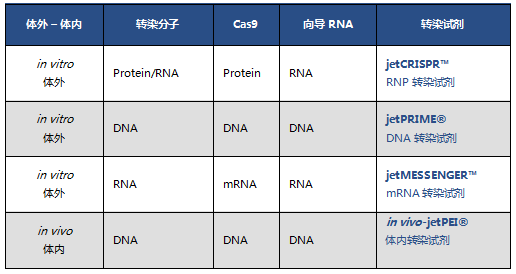 CRISPR介导的基因编辑转染试剂