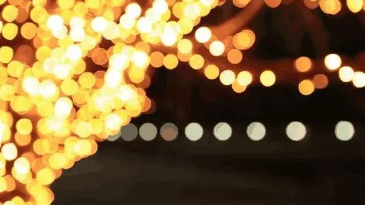 EVOS|点亮细胞之美