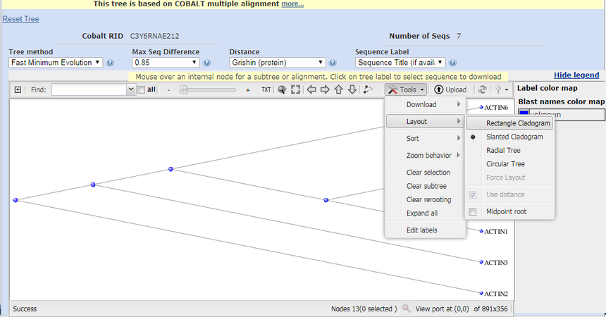 蛋白序列比对和进化树的绘制 蛋白序列比对和进化树的绘制