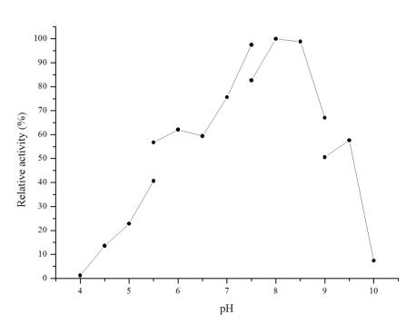 新产品推介—嘌呤核苷磷酸化酶(PNP)