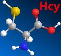 同型半胱氨酸（Hcy）——脑血管病人不可忽视的检查