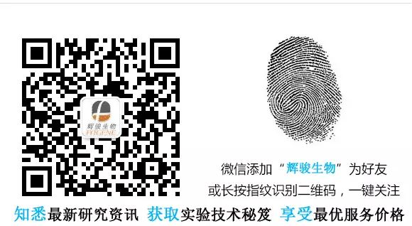 开学促销季：蛋白质组服务降价幅度达10000元，您难道还不心动么？