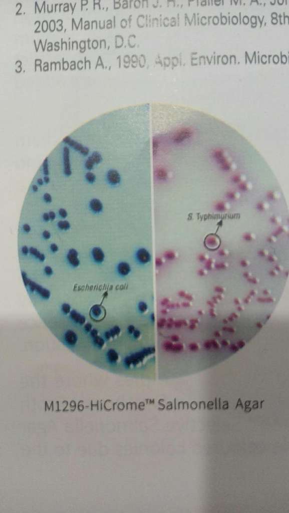 火了！微生物人竟参演了疫苗大片？