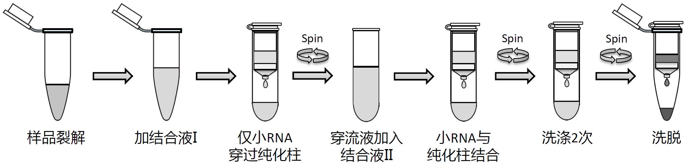 新闻图片12