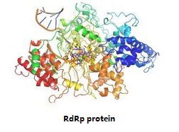 TargetMol's 7 libraries for your research to combat against covid-19