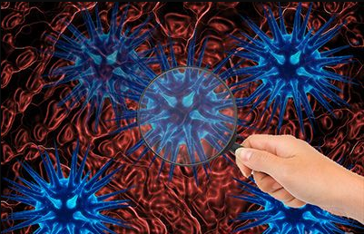 活细胞膜张力研究前沿：膜张力和肌动蛋白相互作用对细胞运动的调节