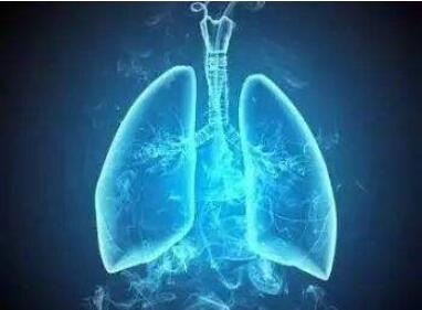 间充质干细胞可有效治疗结核病