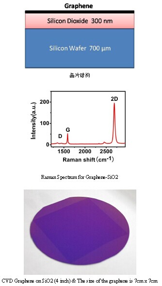 二氧化硅/SiO2基底单层石墨烯