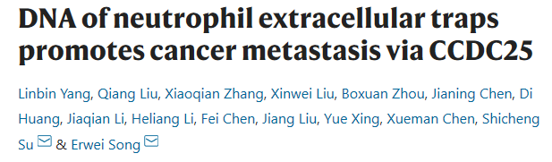 中性粒细胞胞外陷阱DNA通过CCDC25促进肿瘤转移