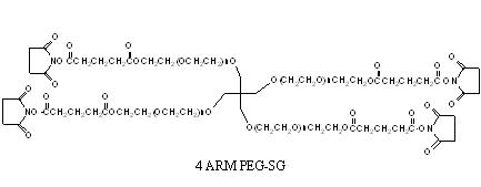 四臂-聚乙二醇-琥珀酰亚胺戊二酸酯，4arm-PEG-SG,4arm-PEG-Succinimidyl Glutarate