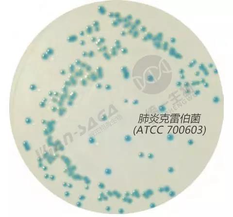 进口到货通知！微生物检测、叶酸检测等大批到货啦！