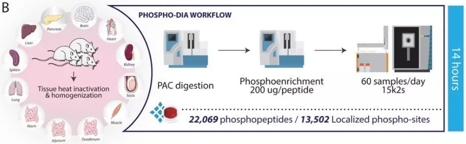 Orbitrap Exploris™ 480第1篇文献