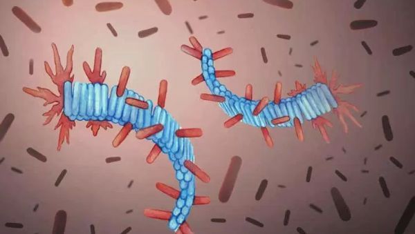 重大突破！科学家或将彻底攻克阿尔兹海默氏症