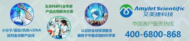 新闻图片2