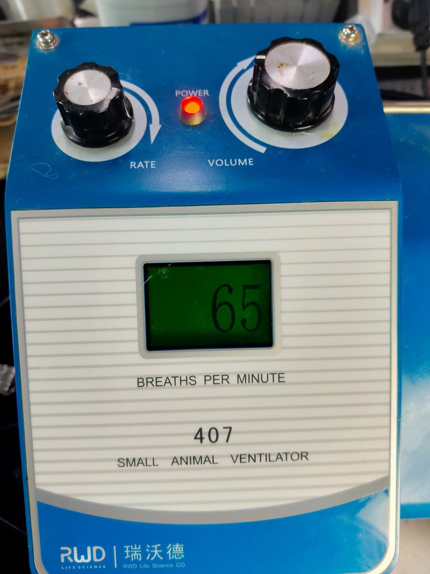 大鼠心肌缺血再灌注模型制备 大鼠心肌缺血再灌注模型制备