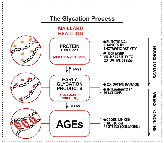 晚期糖基化终末产物（AGEs）定量试剂盒