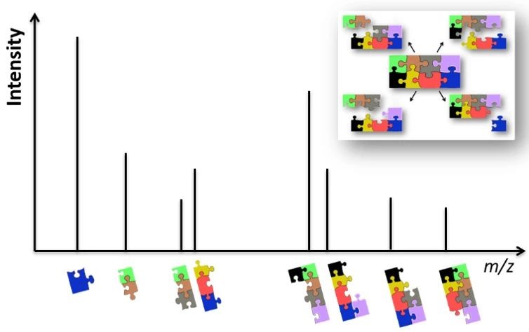 Orbitrap高分辨质谱在生物药物研发和质量控制中的应用