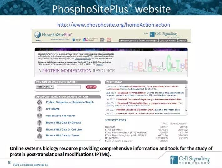 指尖上的PPT，讲述Akt的魅力故事。
