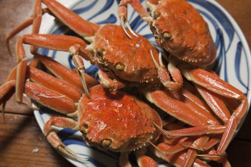 秋季吃蟹，小心沙门氏菌找上你