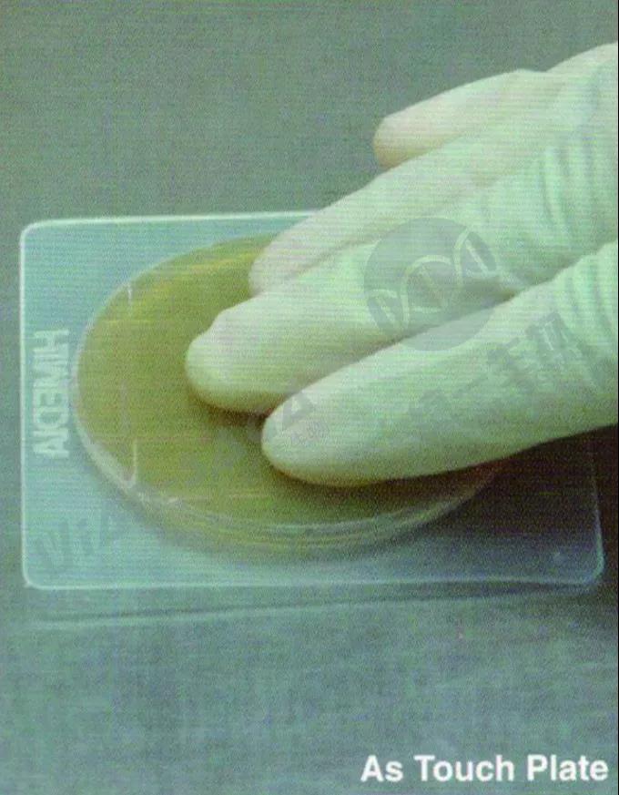 进口到货通知！微生物检测、叶酸检测等大批到货啦！