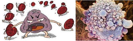 系统性异质性：一种理解肿瘤异质性的综合性方法
