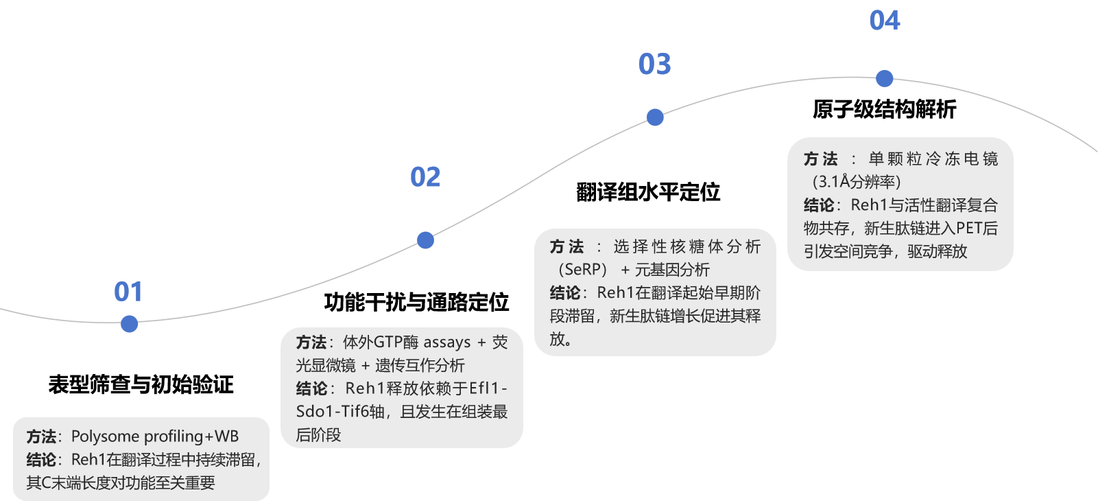 【核糖体组装因子】 | 核糖体