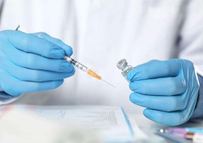 Vero细胞的无血清培养