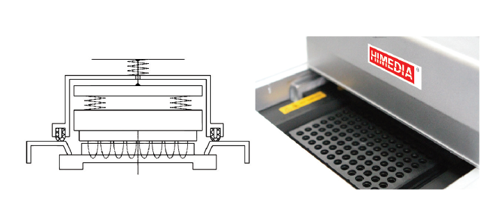 引爆2018——强大的荧光定量PCR仪！ 