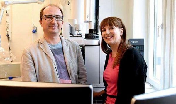 科学家阐明肠道菌群和糖尿病发生之间的关联